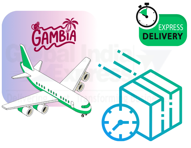 Delhi To Gambia Courier Charges