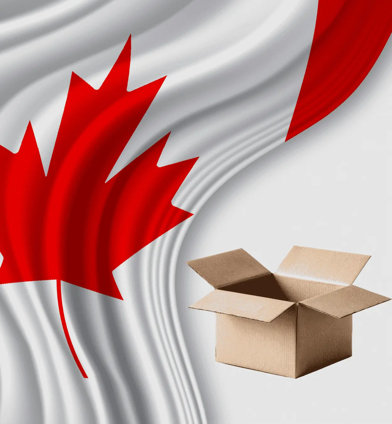 Courier Charges To Canada