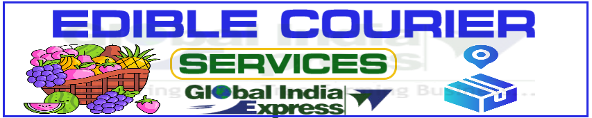 international parcel service in delhi