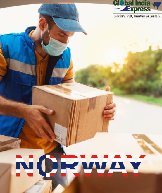Delhi To Norway  Courier Charges