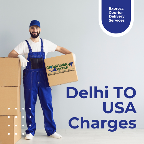 Delhi To Detroit Courier Charges