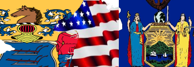 courier charges from delhi to usa, courier charges from delhi to new jersey, courier charges from delhi new yourk